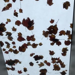 Meet your Posher, Reuben